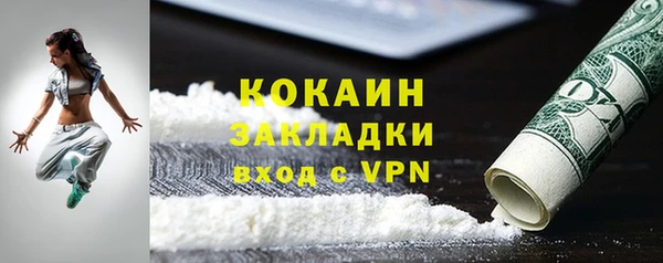 твердый Магас