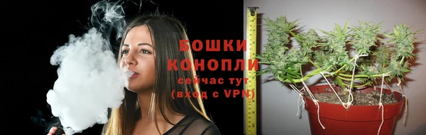 ECSTASY Магадан
