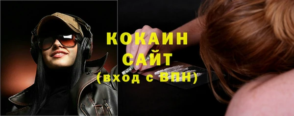 твердый Магас