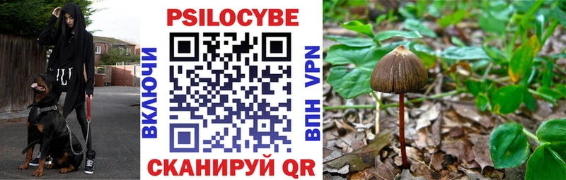Псилоцибиновые грибы MAGIC MUSHROOMS  продажа наркотиков  мориарти телеграм  Заринск 
