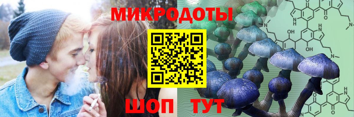 Заринск  Псилоцибиновые грибы GOLDEN TEACHER  Вход с VPN  Галлюциногенные грибы мицелий 