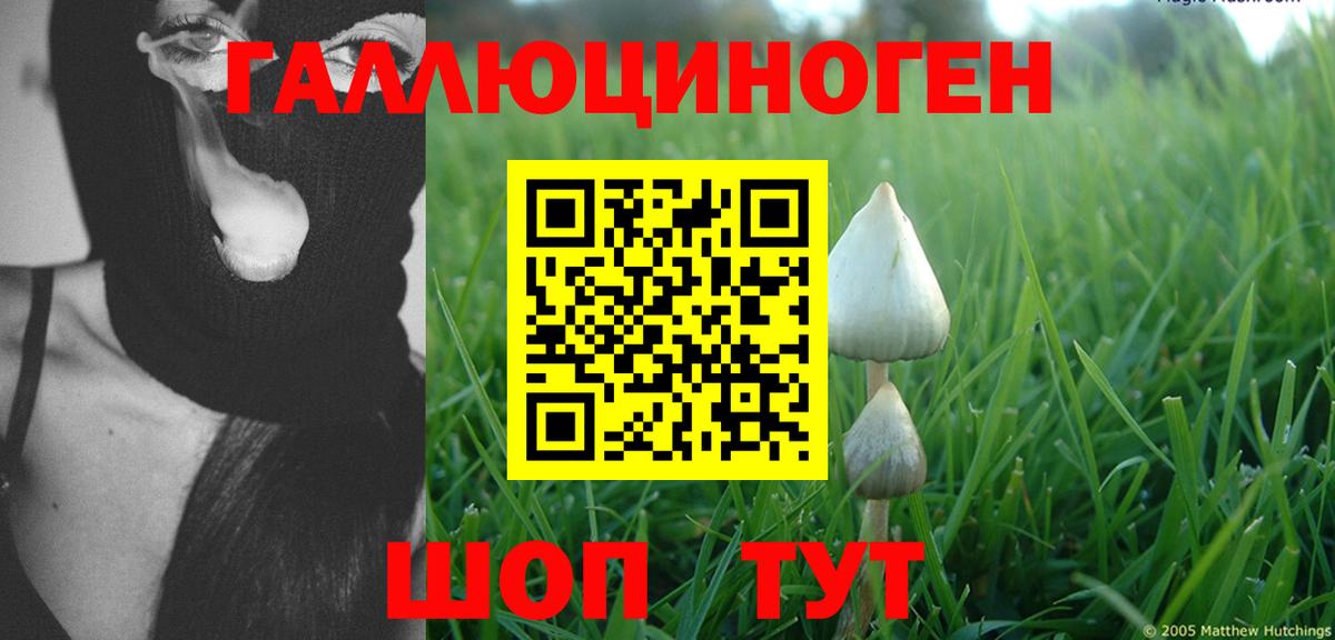 Конопля  Гарик  Cocaine  Заринск  Вход с VPN  МЕФ  МДМА 