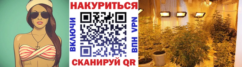 Шишки марихуана Amnesia  Заринск 